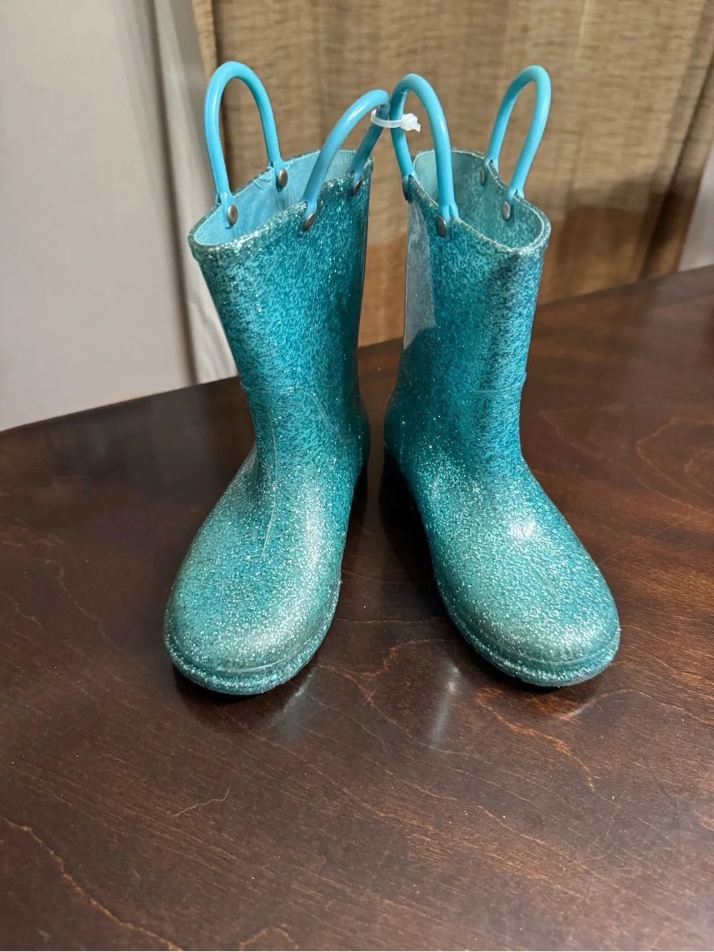 Western Chief sparkling teal